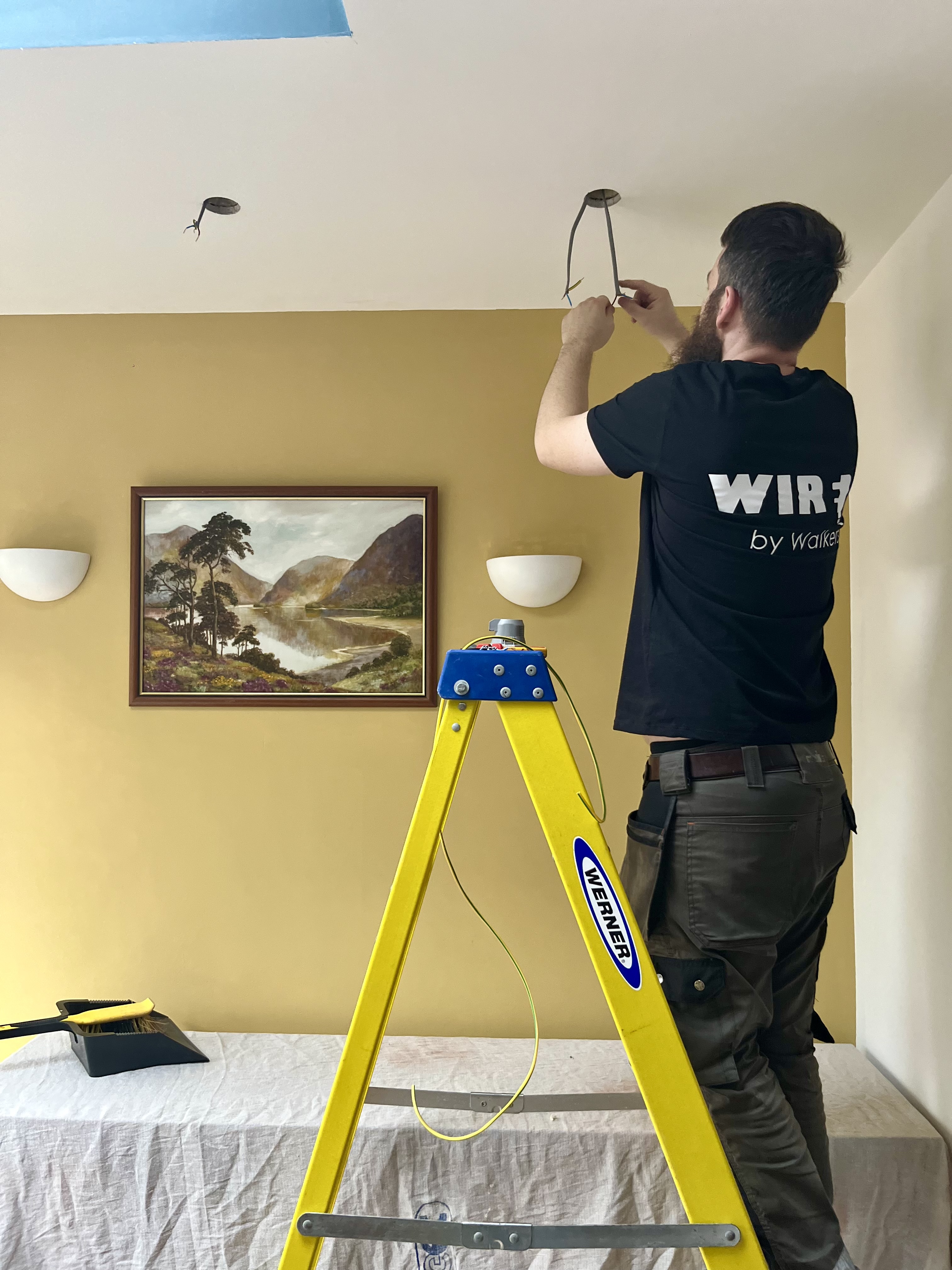 Family Electricians